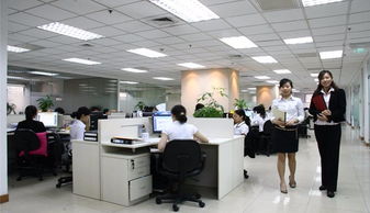 布心學(xué)校裝修店鋪裝修以質(zhì)量創(chuàng)口碑